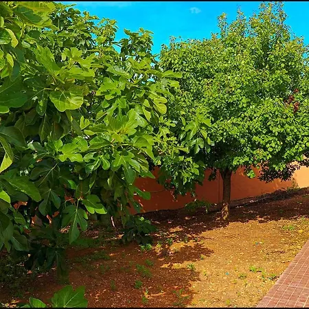 Шале Rustico Roche Кониль-де-ла-Фронтера