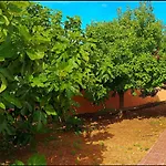 Alpehytte Rustico Roche Conil De La Frontera