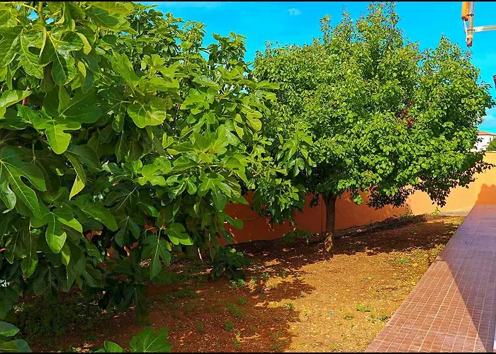 Шале Rustico Roche Коніль-де-ла-Фронтера